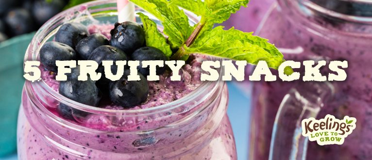 Keeling_Fruity Snacks