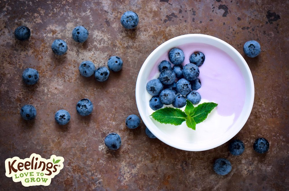Blueberries in lemon cream: